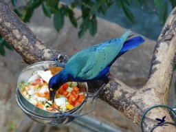 Haus des Meeres 13.03.2026